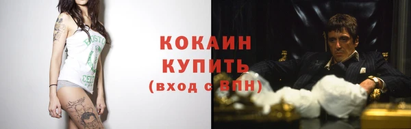 ECSTASY Каменка