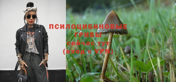 прущие грибы Карталы