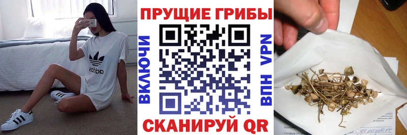 купить наркоту Тимашёвск Псилоцибиновые грибы прущие грибы